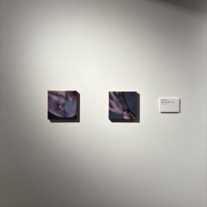 "Heaven's best" Original